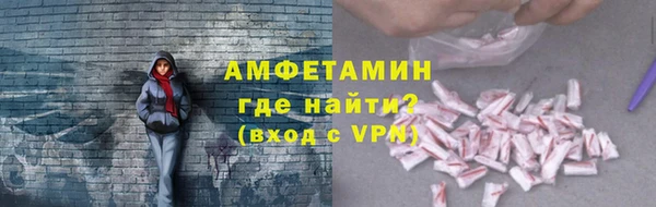 сатива Бородино