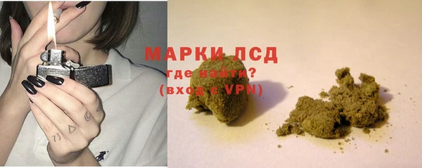 шишки Тында