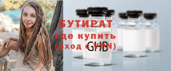 шишки Тында