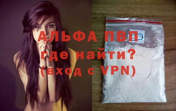 сатива Бородино
