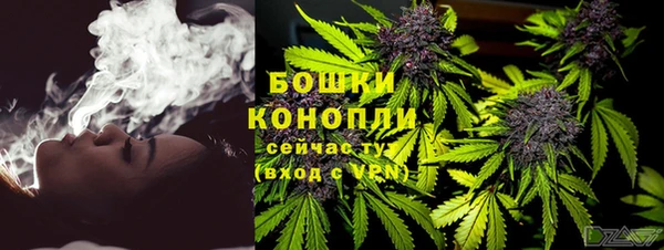 сатива Бородино
