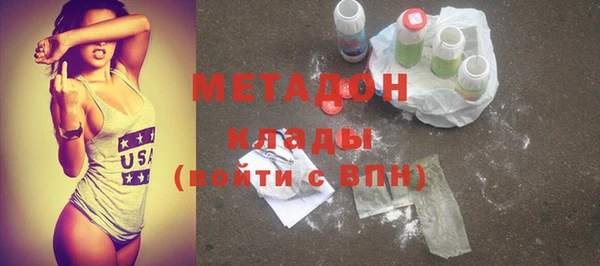 сатива Бородино