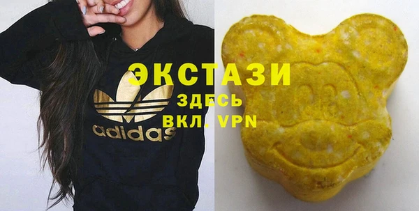 сатива Бородино