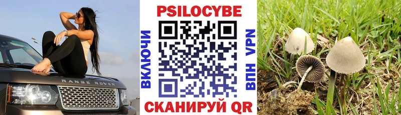 darknet какой сайт  Улан-Удэ  Галлюциногенные грибы ЛСД  где найти  