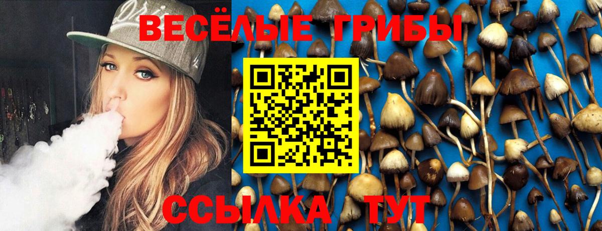 Псилоцибиновые грибы Magic Shrooms  Вход с VPN  Улан-Удэ 